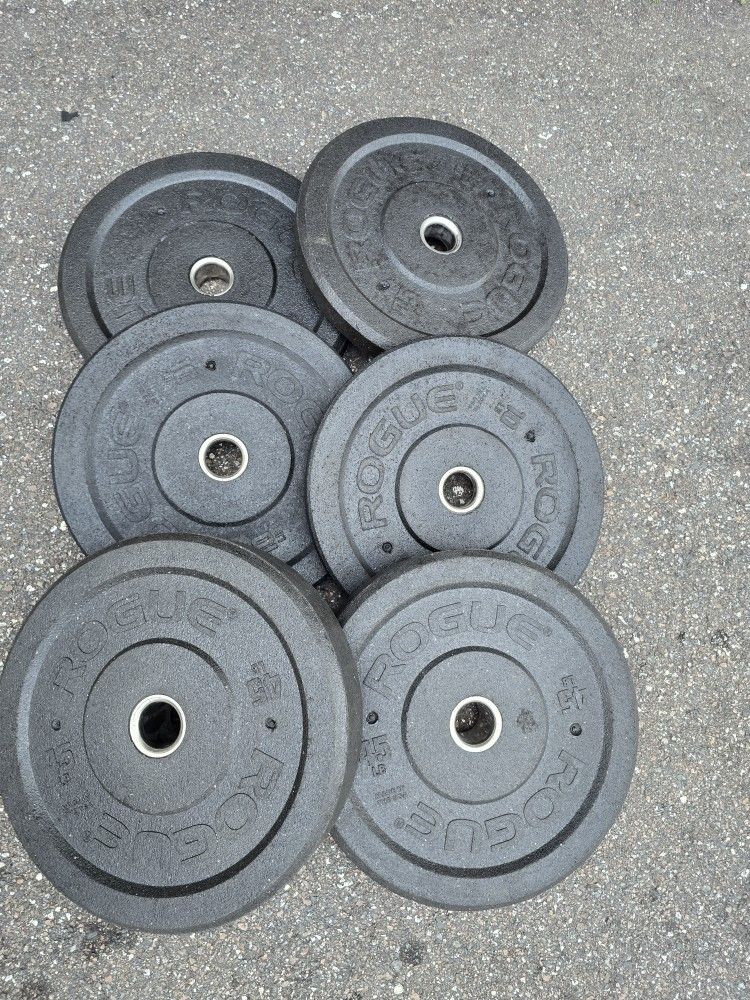 Weight Rogue Bumper Plates