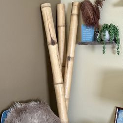 Bamboos For Decoration $30/each or $75 For All