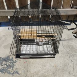 Bird Cage 