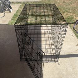 Dog Kennel