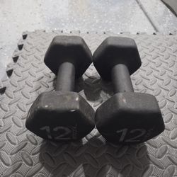 12lbs Dumbbells Set Rubber Coated Dumbells Set 12 Pounds Weight Exercise Workouts Curl 