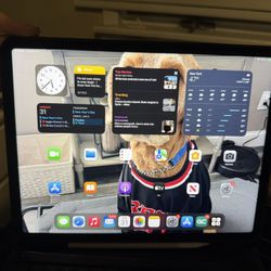 iPad 12.9 6th Generation 2TB 