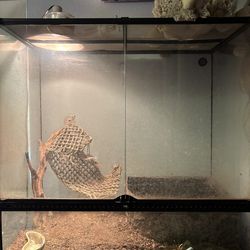 Reptile Cage