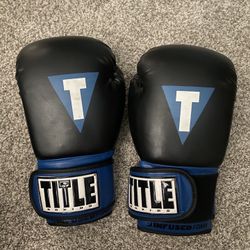 Title Boxing Gloves 12 Oz