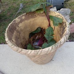 Large plant pot