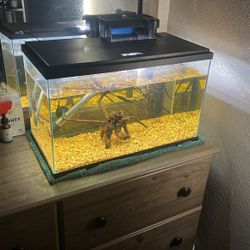 10 Gallon Fish Tank