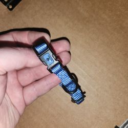 Small Dog Collar