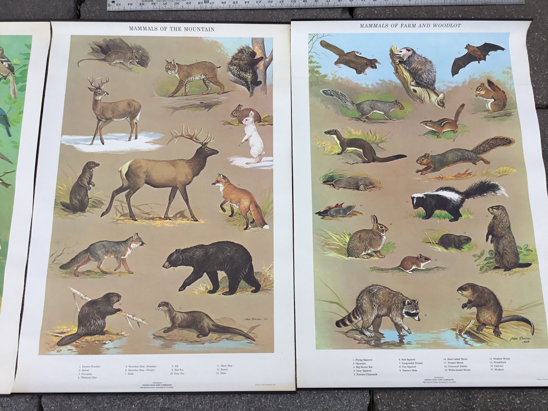 Set of four Ned Smith/ PA game commission posters – 1964