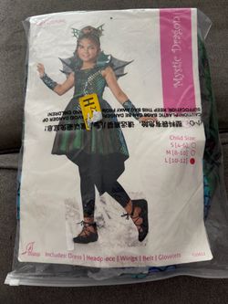 Girls dragon costume large 10-12