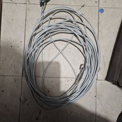 Dog Ties/Leads