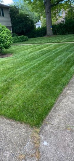 Lawn mow