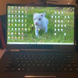 Laptop: Lenovo Yoga 