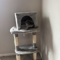 Used Cat Tree