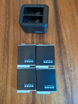 GoPro Batteries