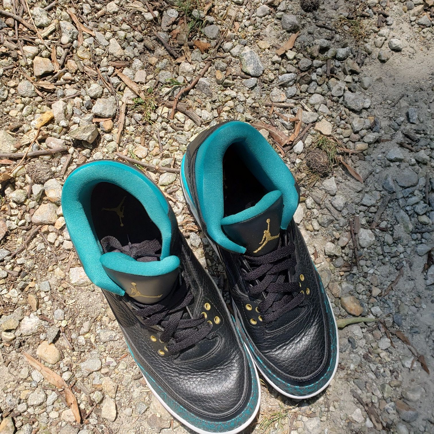Air Jordan 3s (black & teal)
