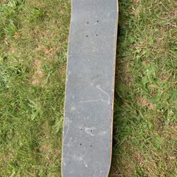 Skate Board