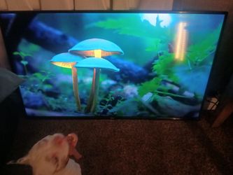 TCL 50-Inch TV. with remote 50S431 50-Inch TV.     (has no stand!)