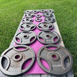 Full Set 275 Pounds of Olympic Easy Grip Weights