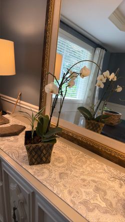 White Orchid in Decorative Woven Planter – Blooming