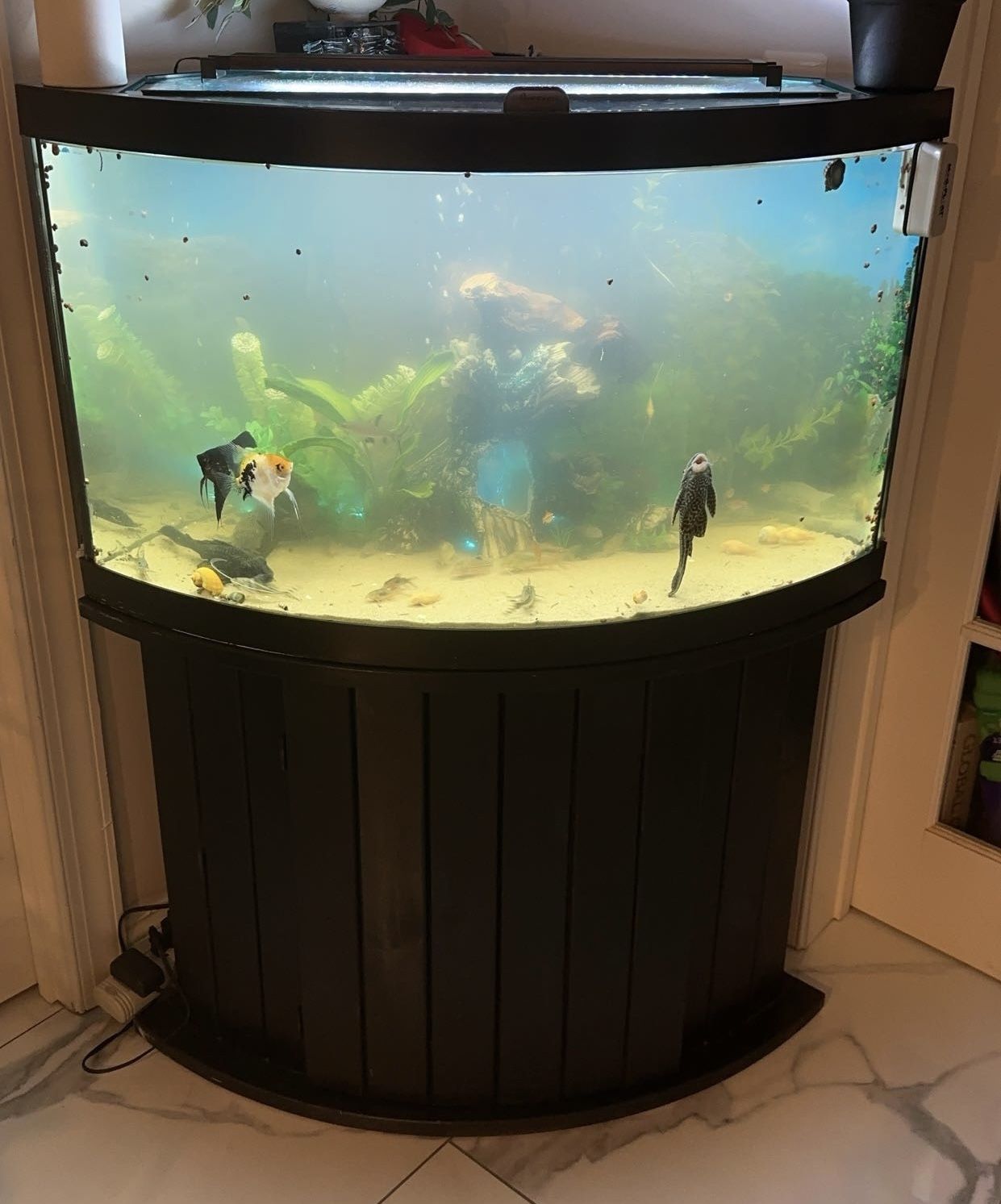 55 Gal Corner Fish Tank and Stand Set