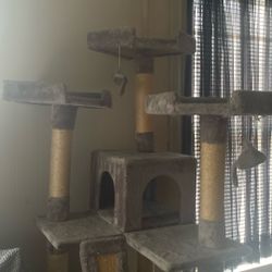 cat house