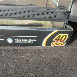 4Gallon Glass Habitat