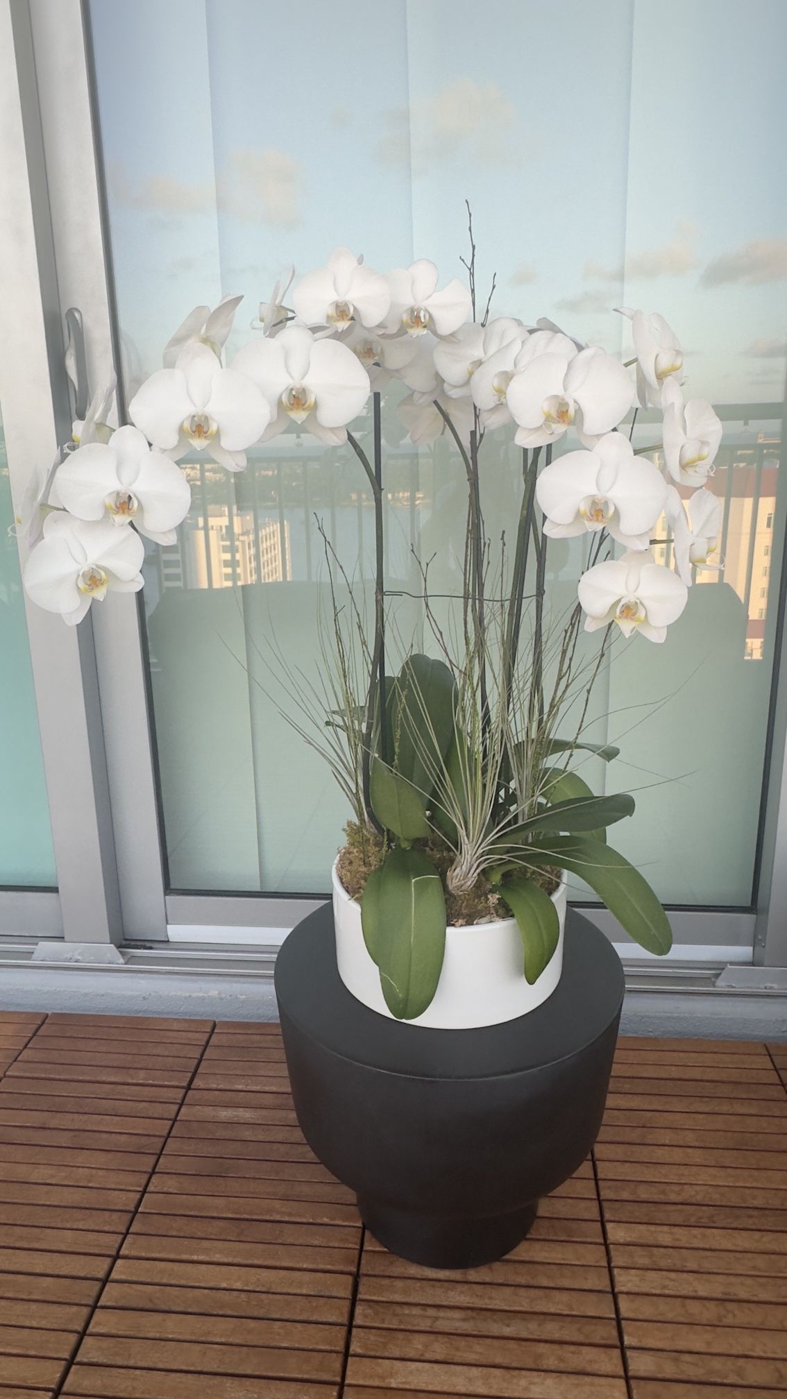 REAL Live Orchid – 4-Stem White Phalaenopsis in Ceramic Pot – $99 (Retails $400)