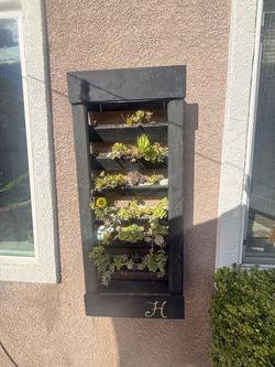 Succulent Wall displays