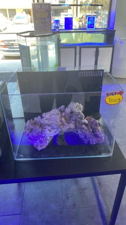 Salt water fish tank