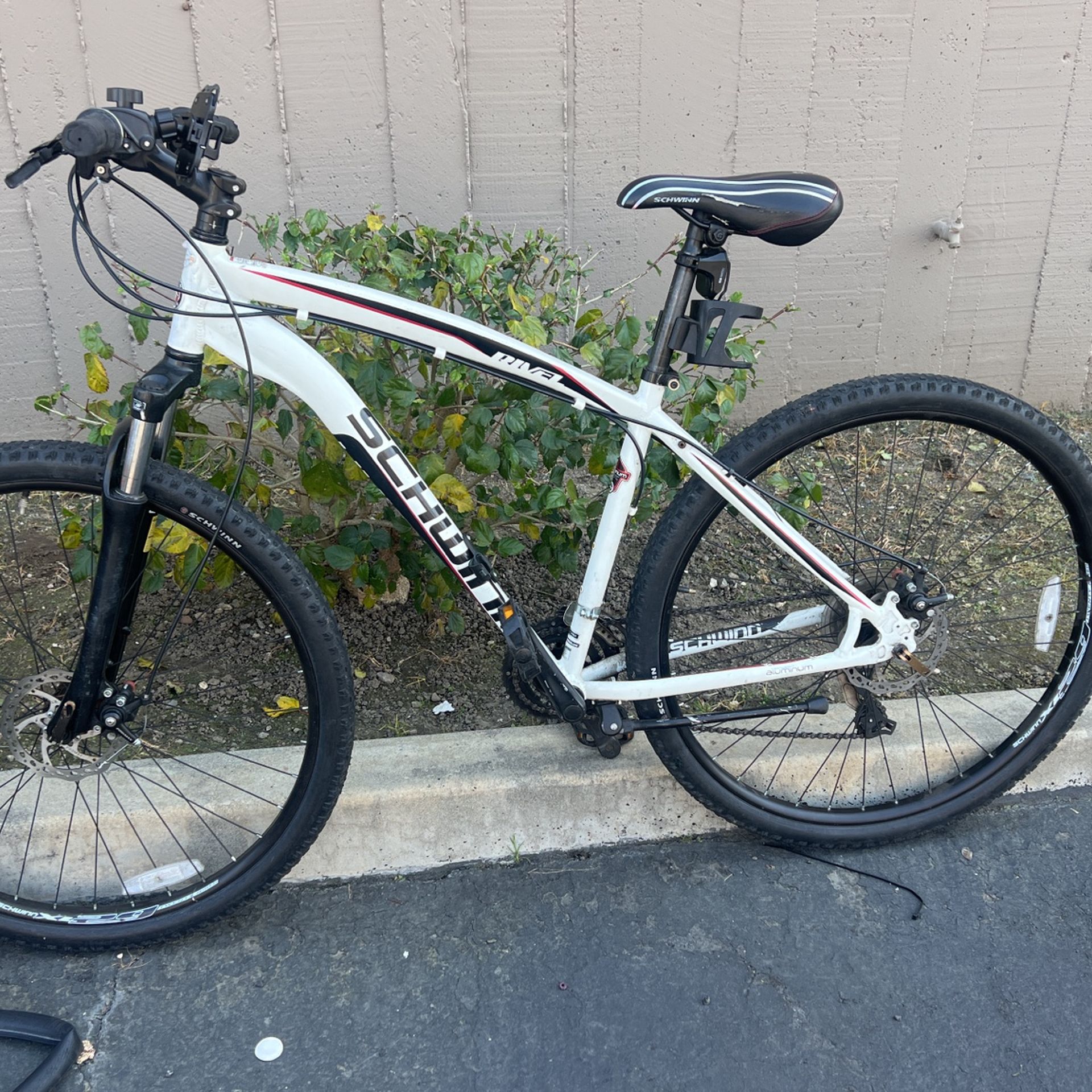 Schwinn Riva object 29