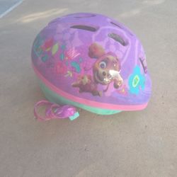 Skye From Paw Patrol Toddler Bike Helmet