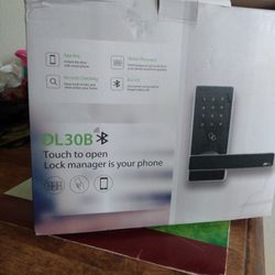 DL 30B SMART DOOR NOB