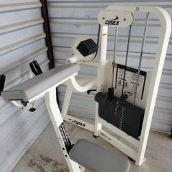 Cybex Bicep Curl $975 Mercedes Tx 
