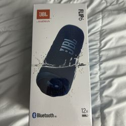 JBL Flip 6 Speaker-Blue 