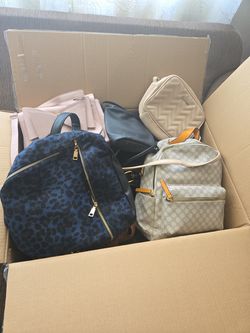 Hand bags all for $10