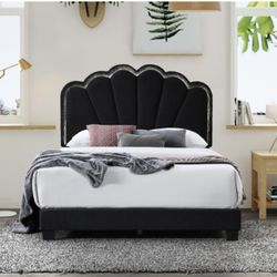 Queen Bed 