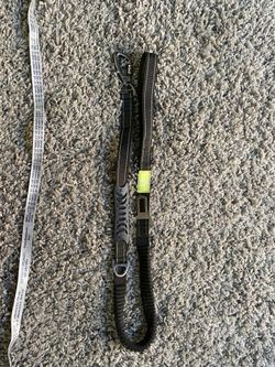 Fashion & cool dog leash
