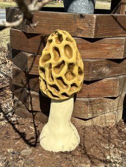 Concrete 18” Morel Mushroom