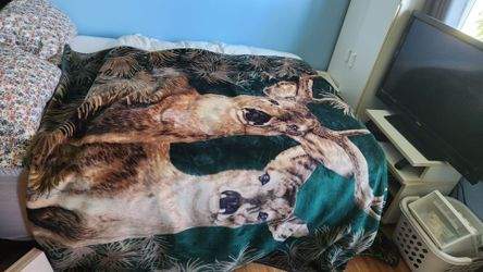 Blanket