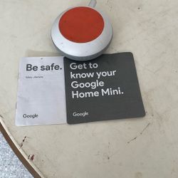 Google home mini