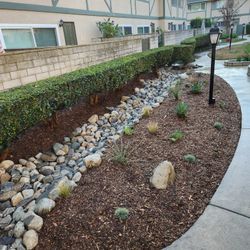 Plants ,drip System Mulch