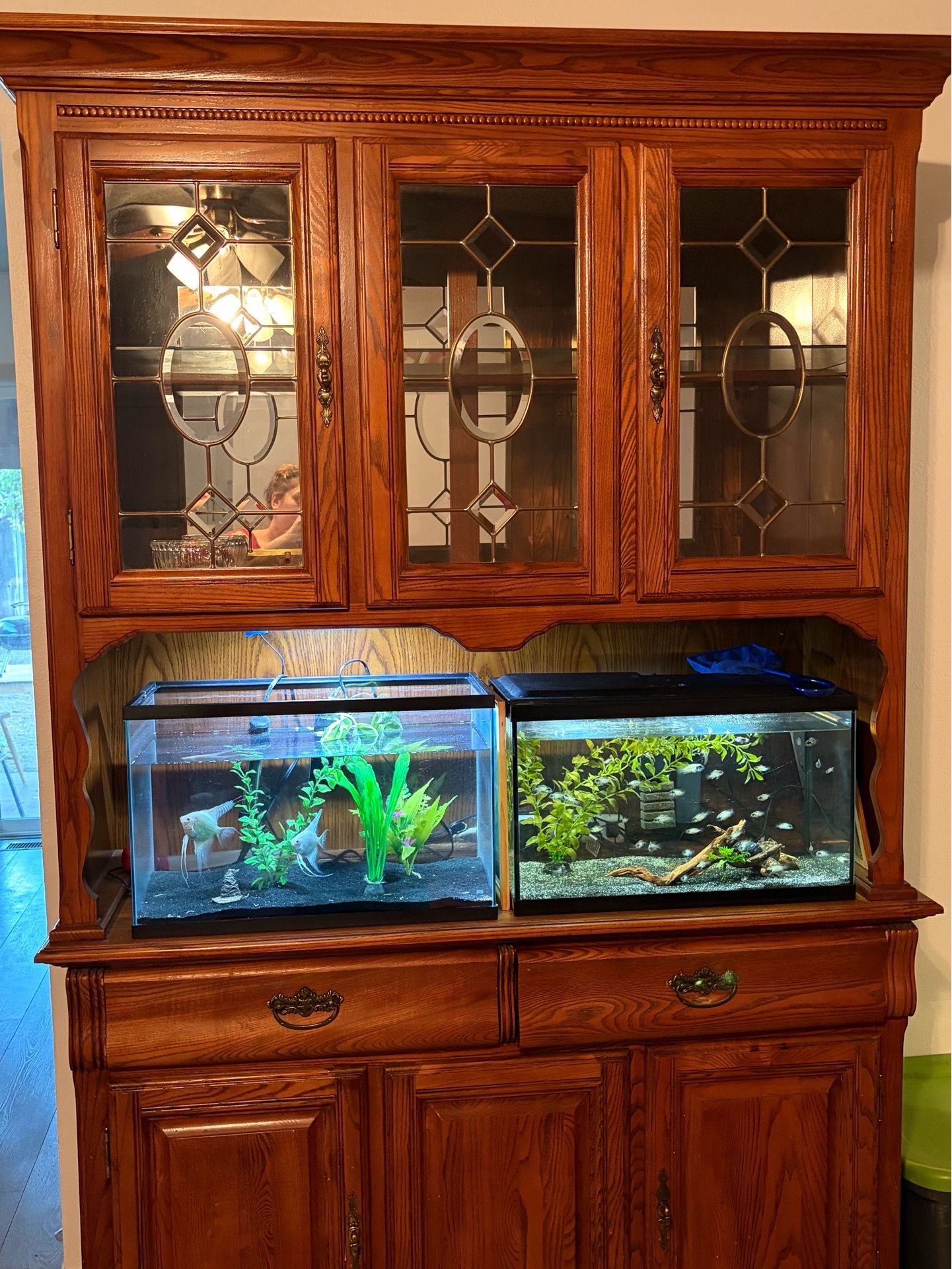 Kitchen hutch (fish tanks not included)