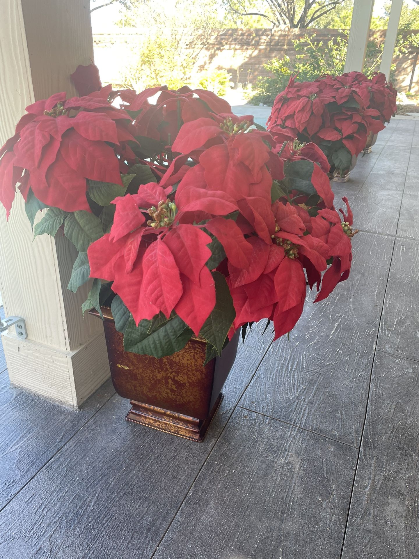 Fake Poinsettia (faux plant)