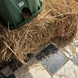 FREE LEFTOVER HAY, PAJA GRATIS, IF ITS UP ITS AVAILABLE 