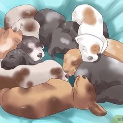 Message Me For Details+* (7puppies) *