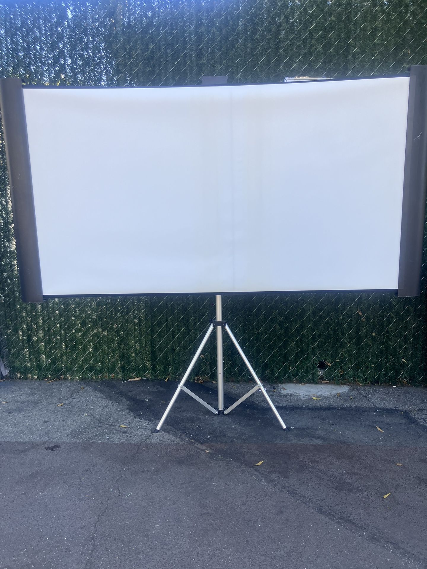 Projector Screen