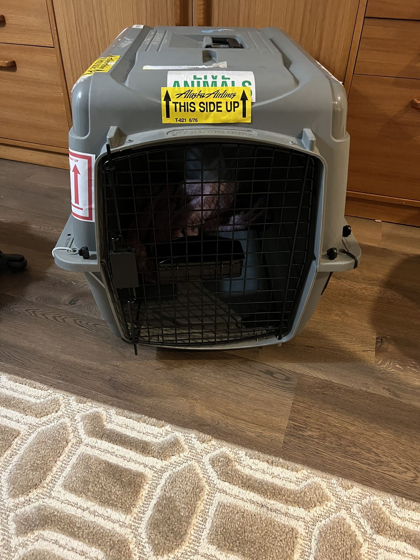 Airline Approved Dog Crate