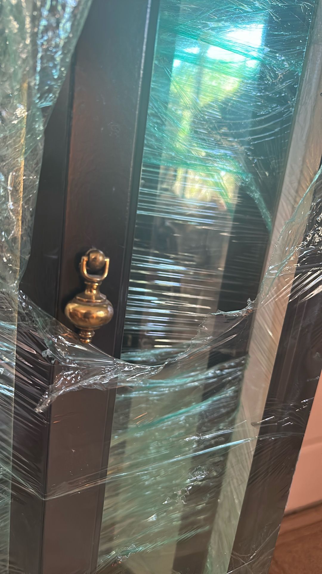 $30 Black Curio Cabinet With Lights- No Damage
