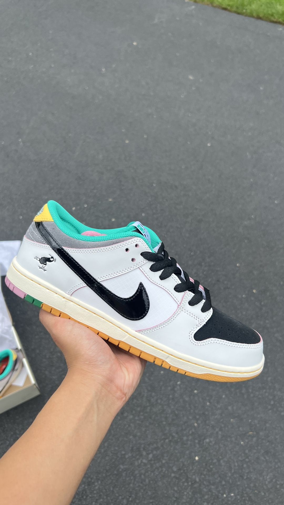 CSEF Nike SB 🎓 11.5m