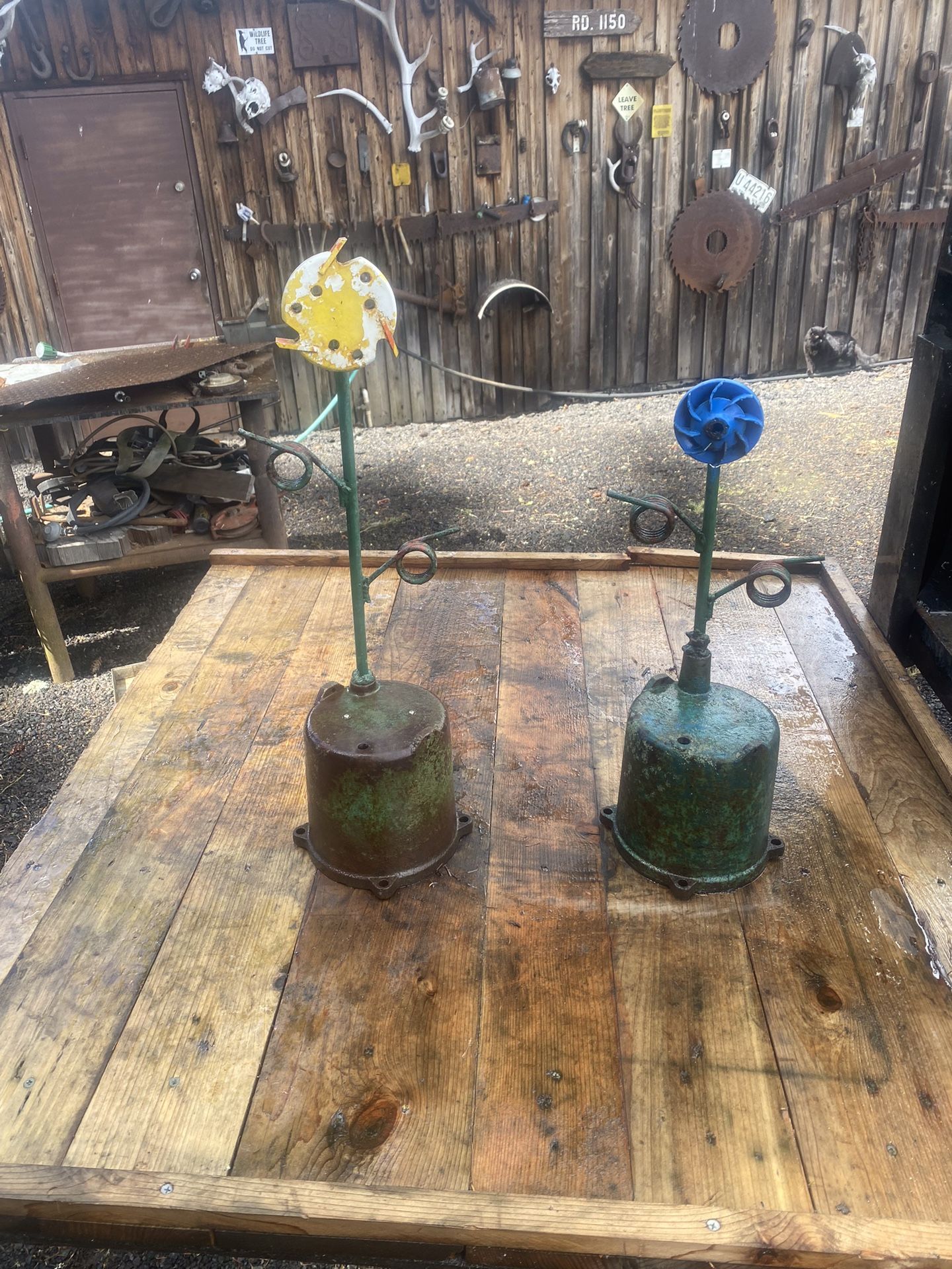 Yard Art, Plants